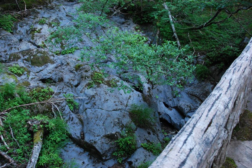 DSC_1113.JPG