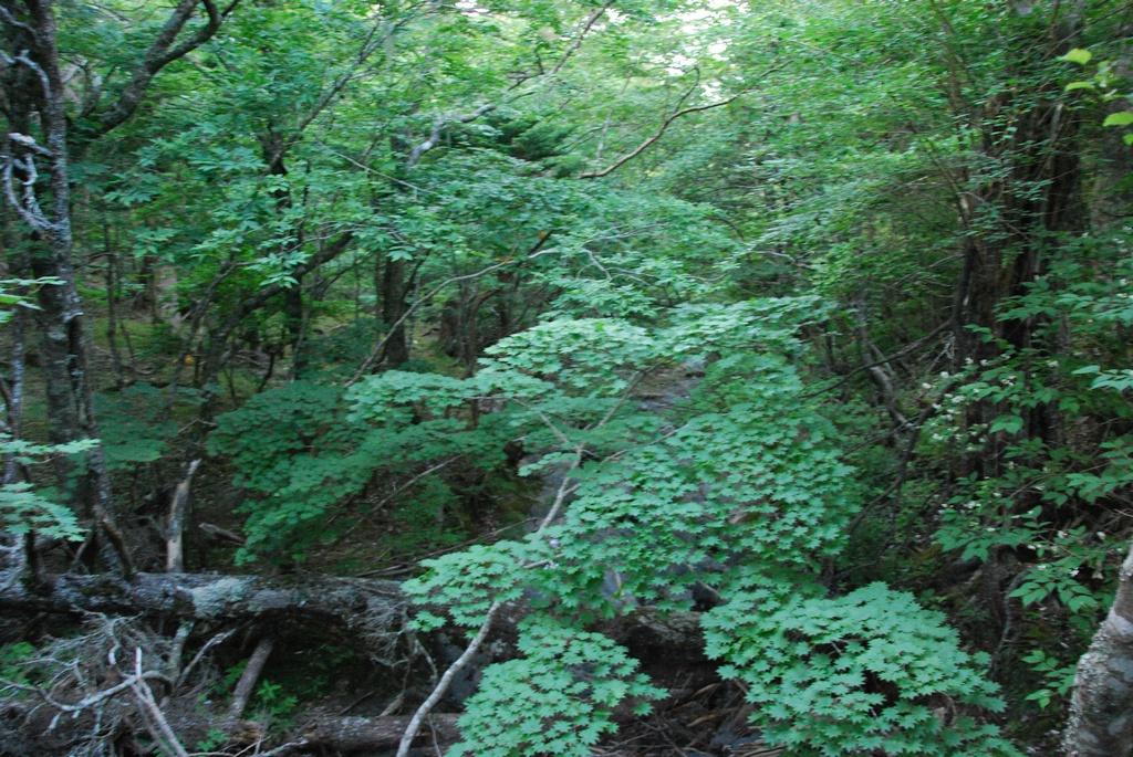 DSC_1114.JPG