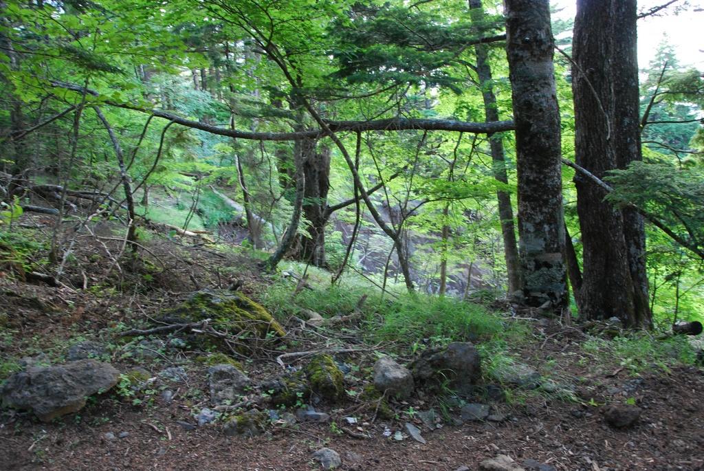 DSC_1120.JPG