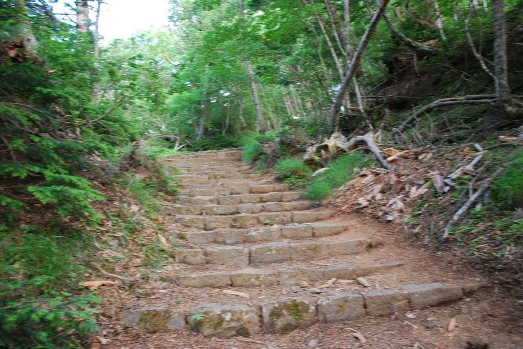 DSC_1122.JPG