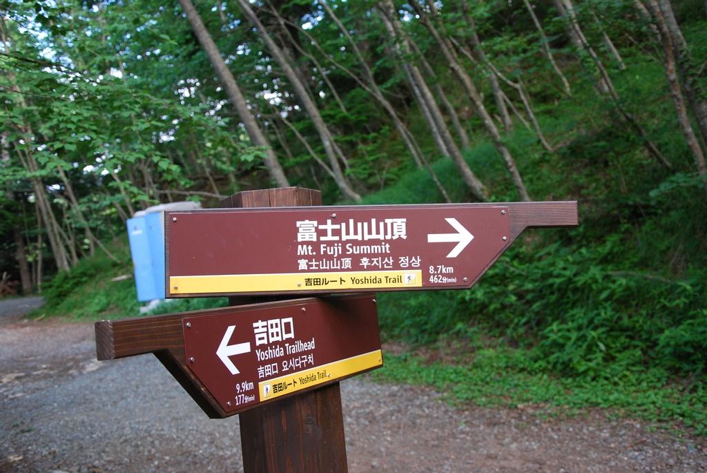 DSC_1124.JPG