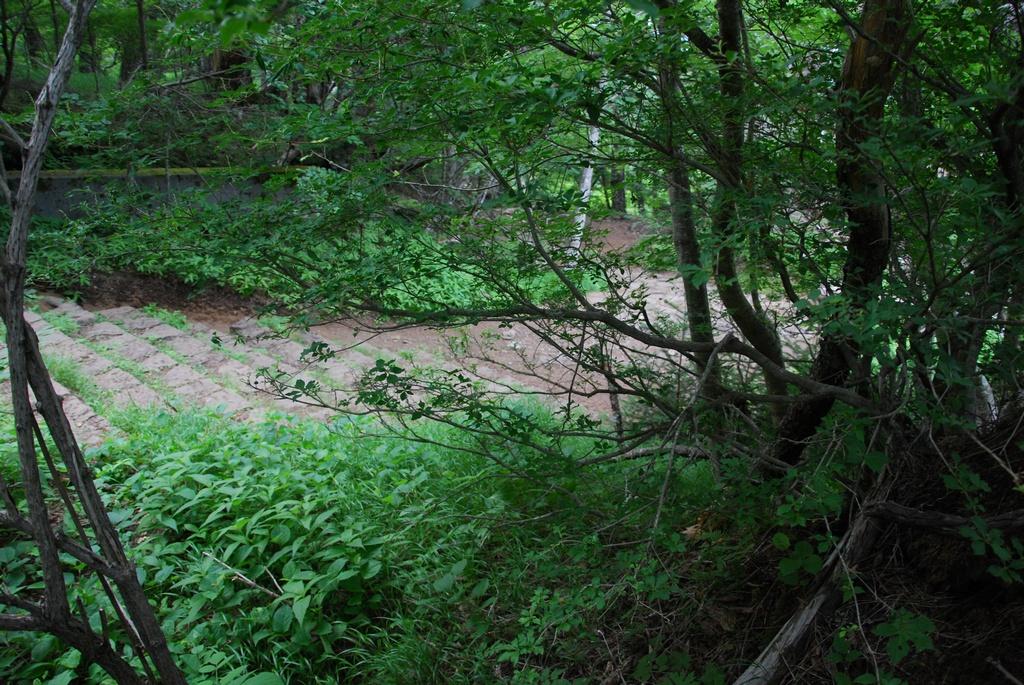 DSC_1125.JPG