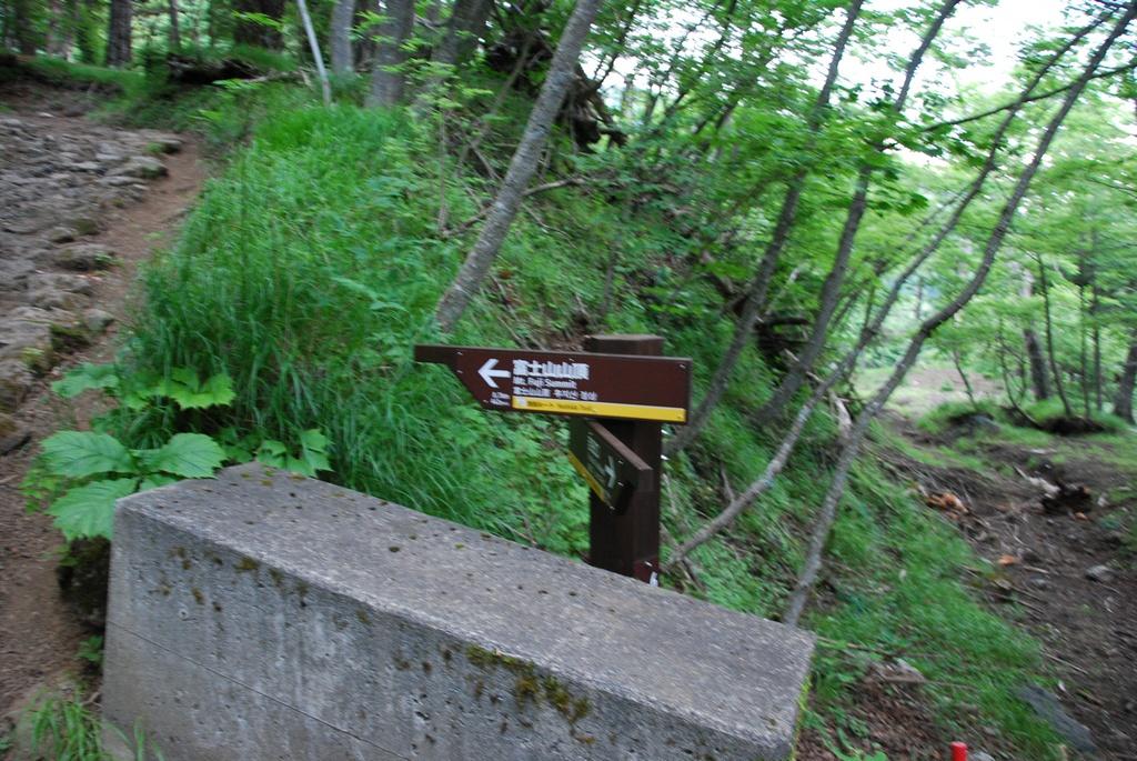 DSC_1127.JPG