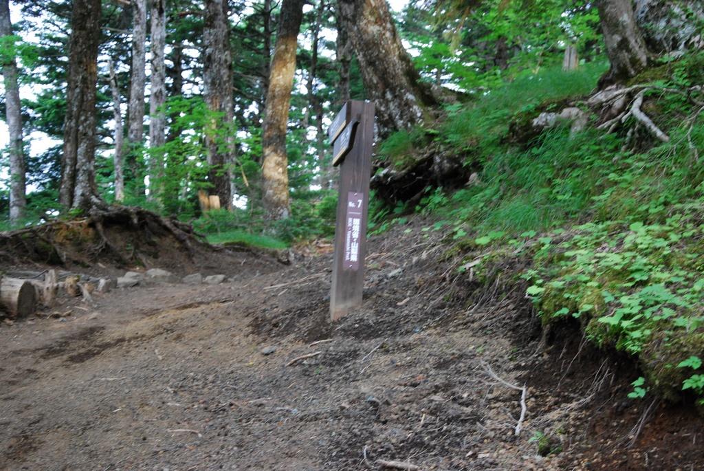 DSC_1134.JPG
