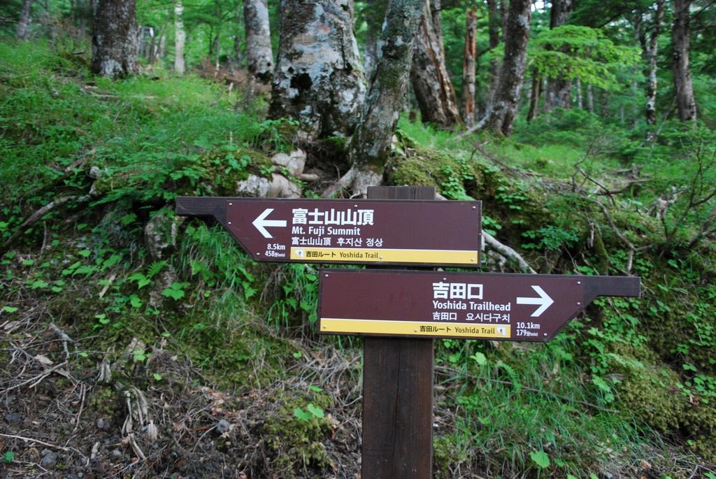 DSC_1135.JPG