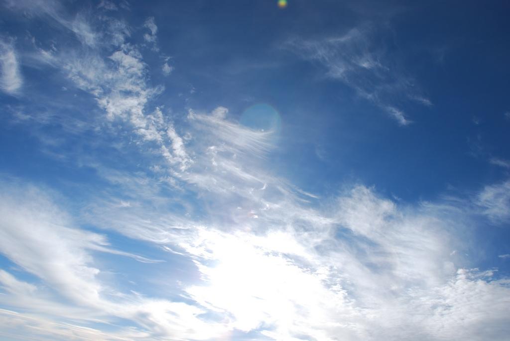DSC_1242.JPG