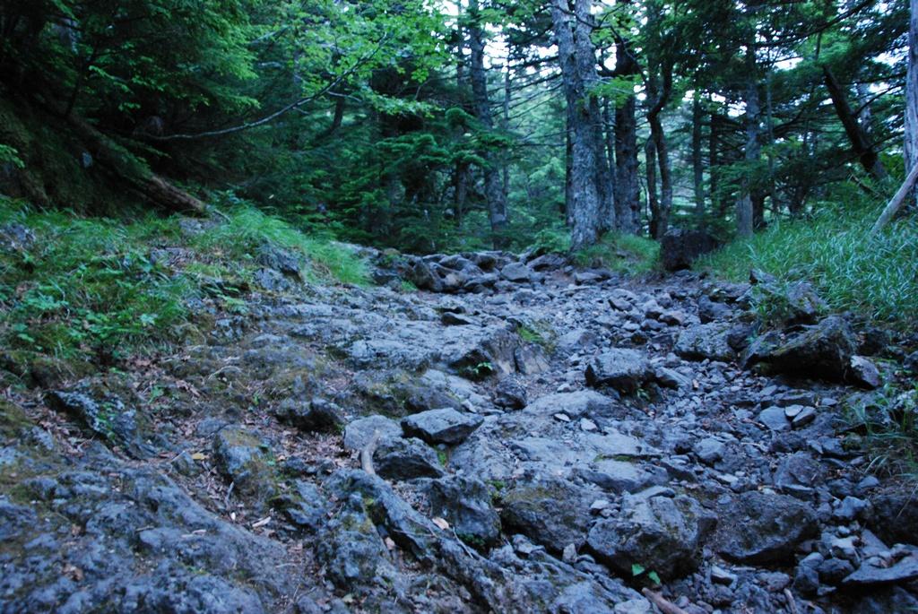DSC_1200.JPG
