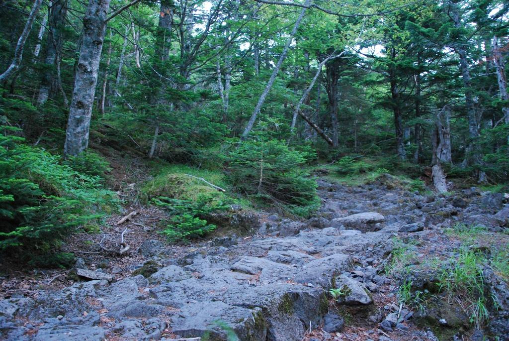 DSC_1201.JPG