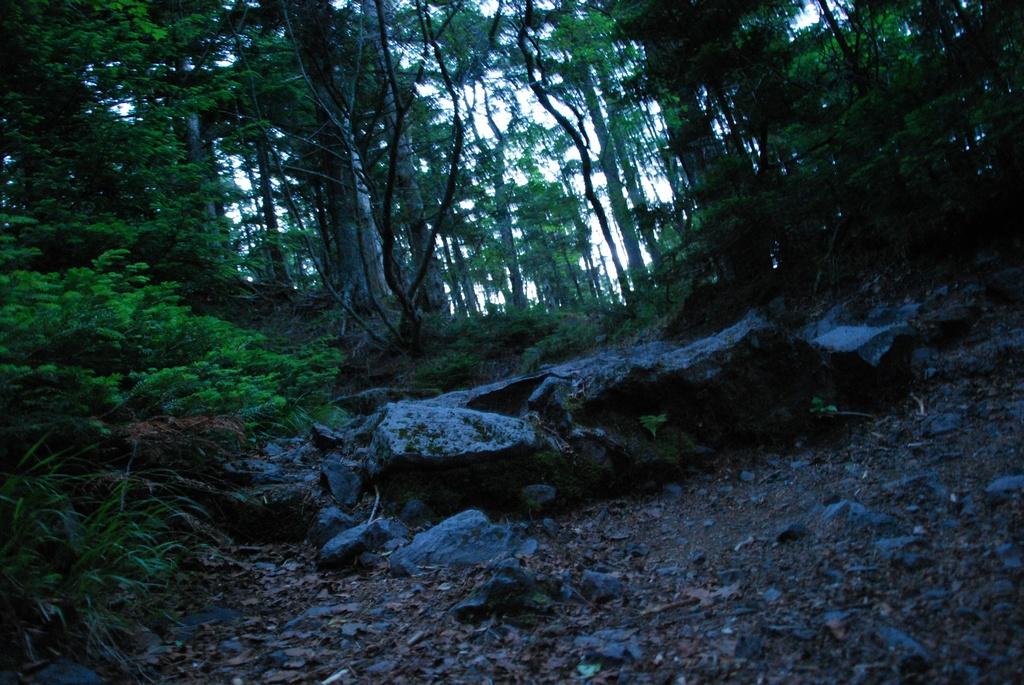 DSC_1202.JPG