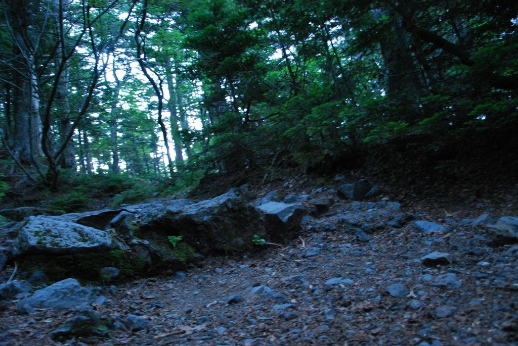 DSC_1203.JPG