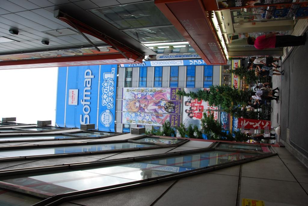 DSC_0226.JPG