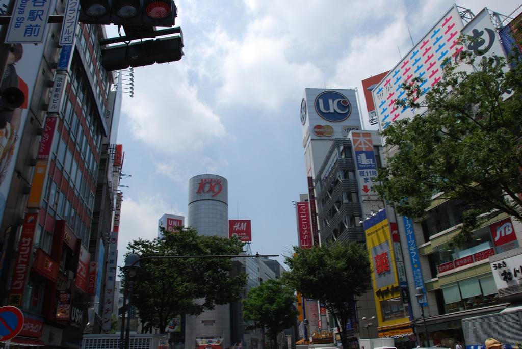DSC_0243.JPG