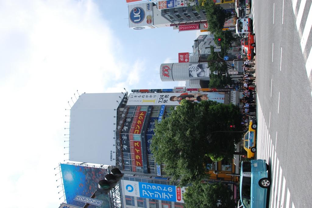 DSC_0235.JPG