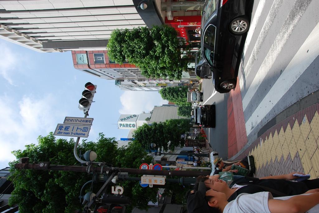 DSC_0238.JPG