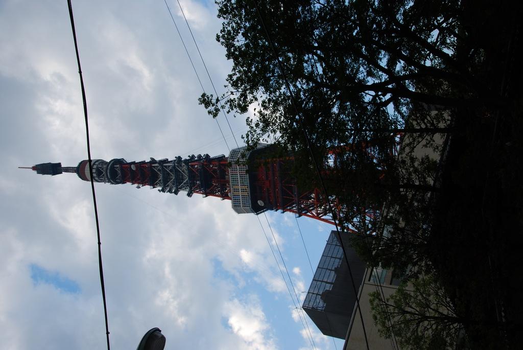 DSC_0954.JPG