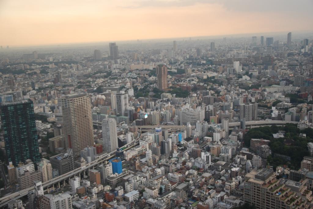 DSC_1013.JPG