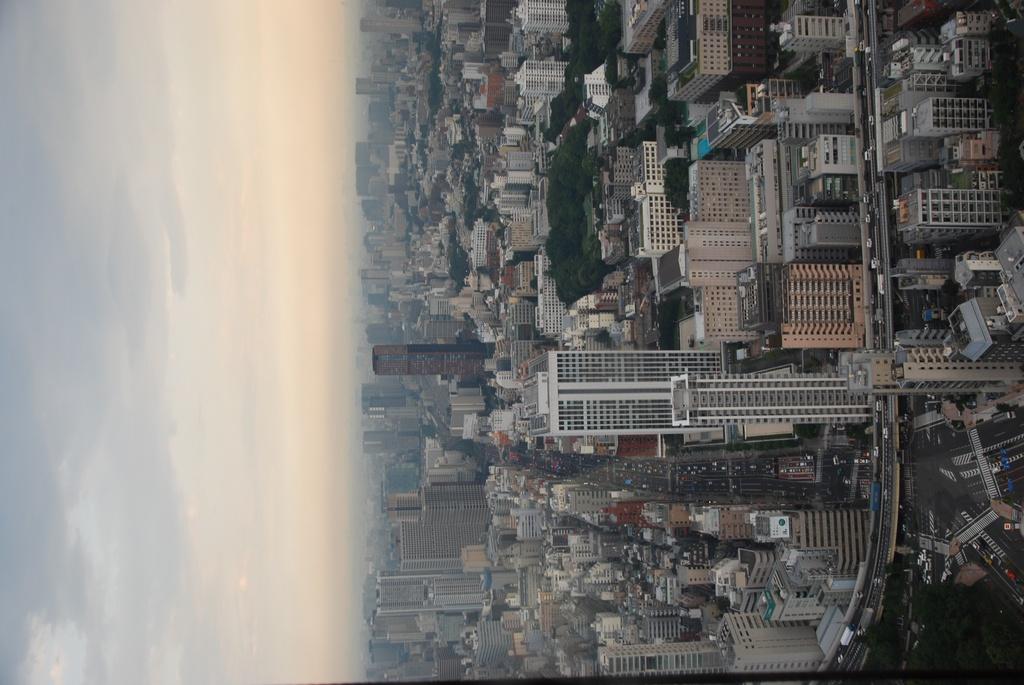 DSC_1014.JPG
