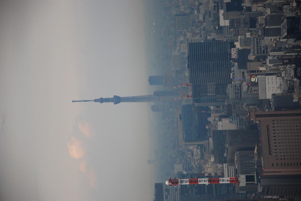 DSC_1041.JPG
